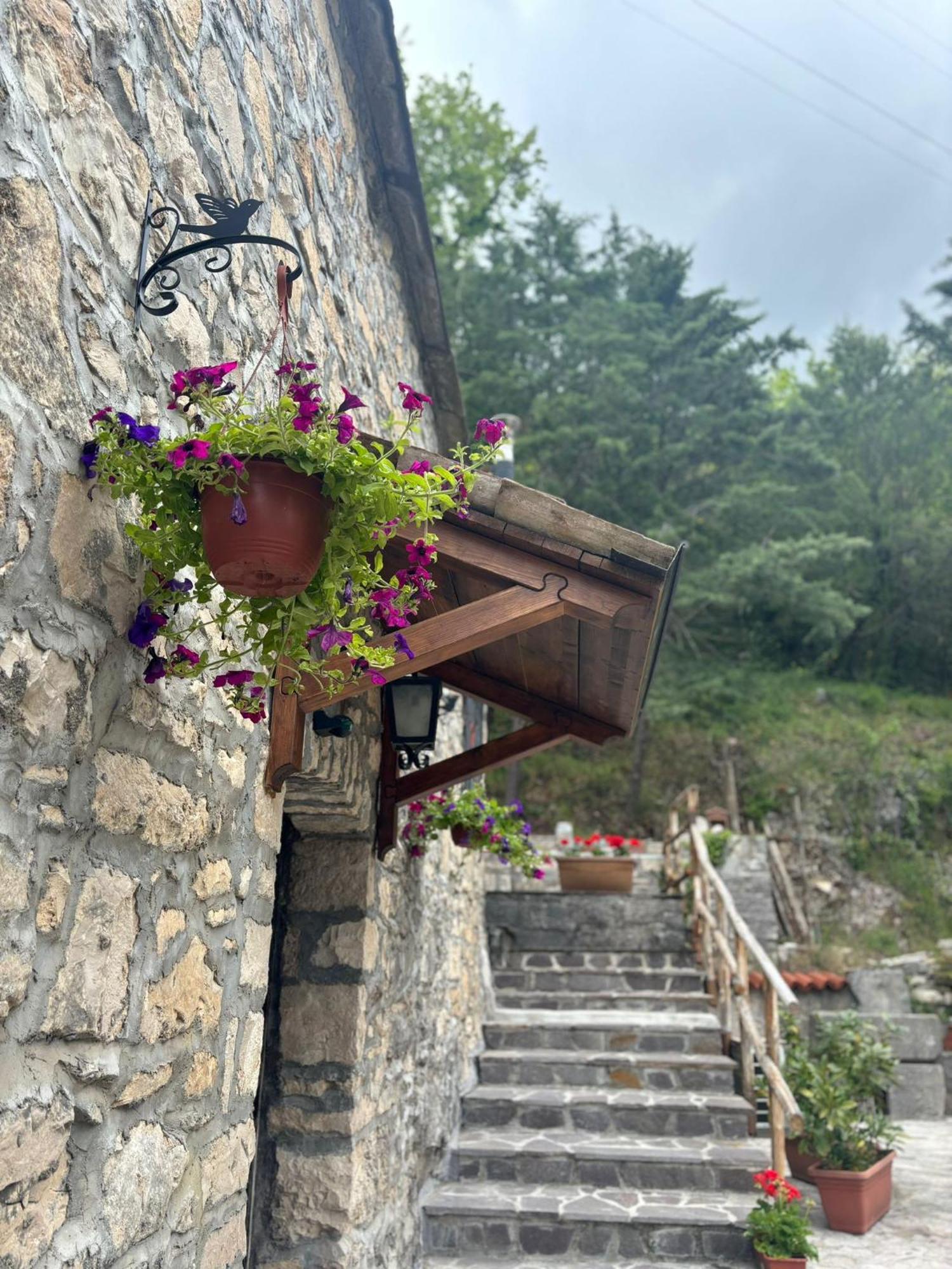 Apartmán Il Caminetto Carpinone Exteriér fotografie