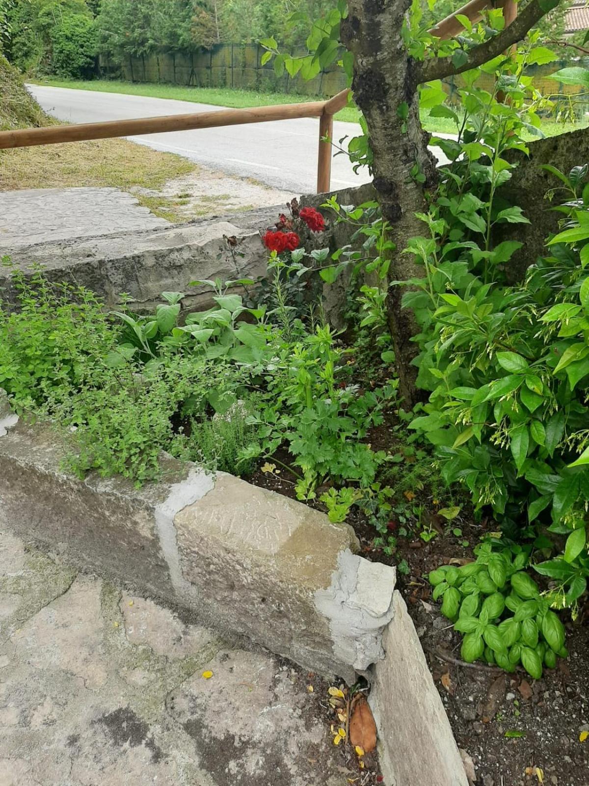 Apartmán Il Caminetto Carpinone Exteriér fotografie